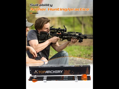 Archery 20" Crossbow Bolts Pure Carbon Shaft Straightness.006 6PK For Crossbow Hunting Arrows