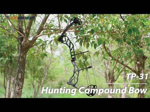 Adults Compound Bow Set Beginner Hunting Bow 19-70lbs Left Right Hand