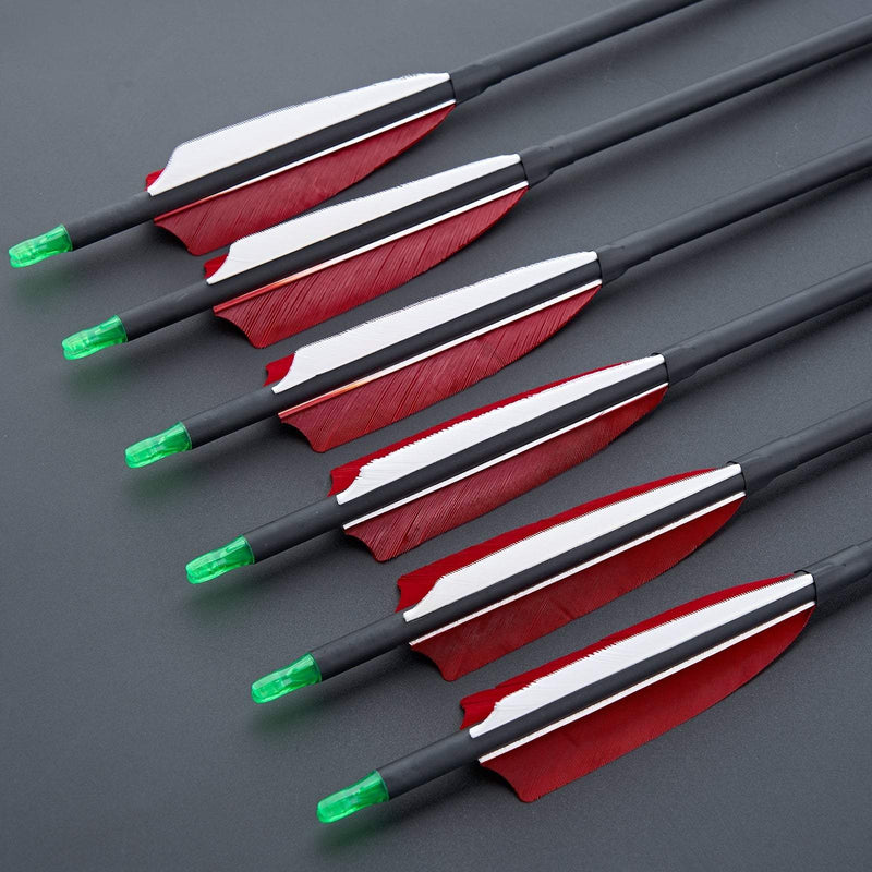 12pcs Archery 30.5" Carbon Arrows with 4 inch Turkey Feather Spine 600 for Recurve Compound Bow