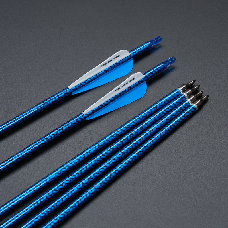 12pcs 30" Fletched Carbon Arrows with Replaceable Arrowheads for Recurve Compound Bow