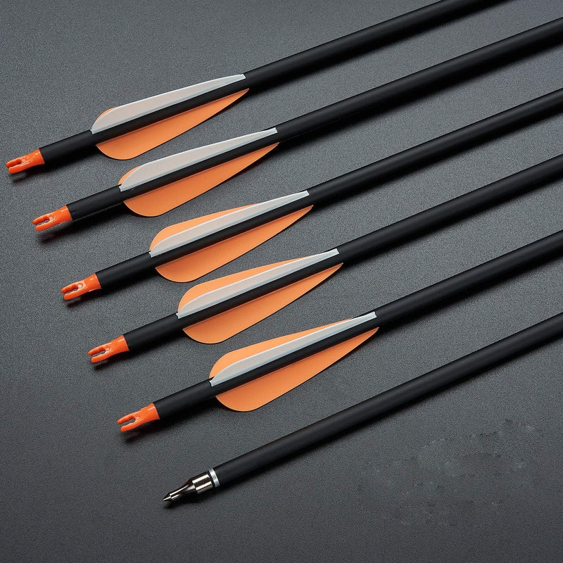 12pcs Archery 30" Fletched Carbon Arrows ID 6.2mm with Replaceable Arrowheads for Recurve Compound Bow