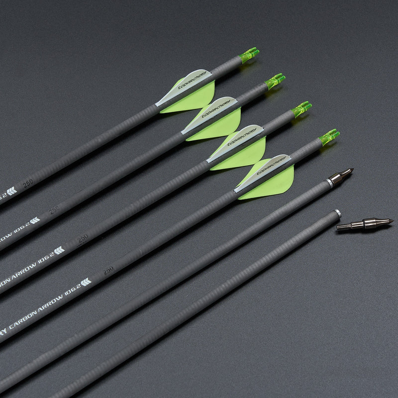12pcs 30" Pure Carbon Arrows Spine 250 For Recurve Compound Bow