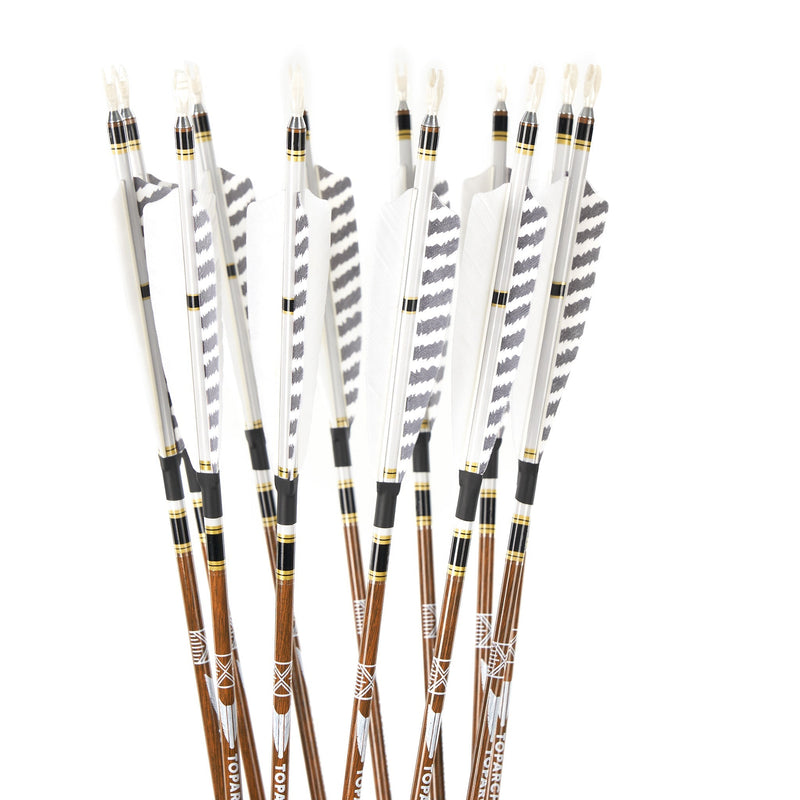 12pcs 31" Archery Pure Carbon Arrows Turkey Feather Fletched Spine 300-600