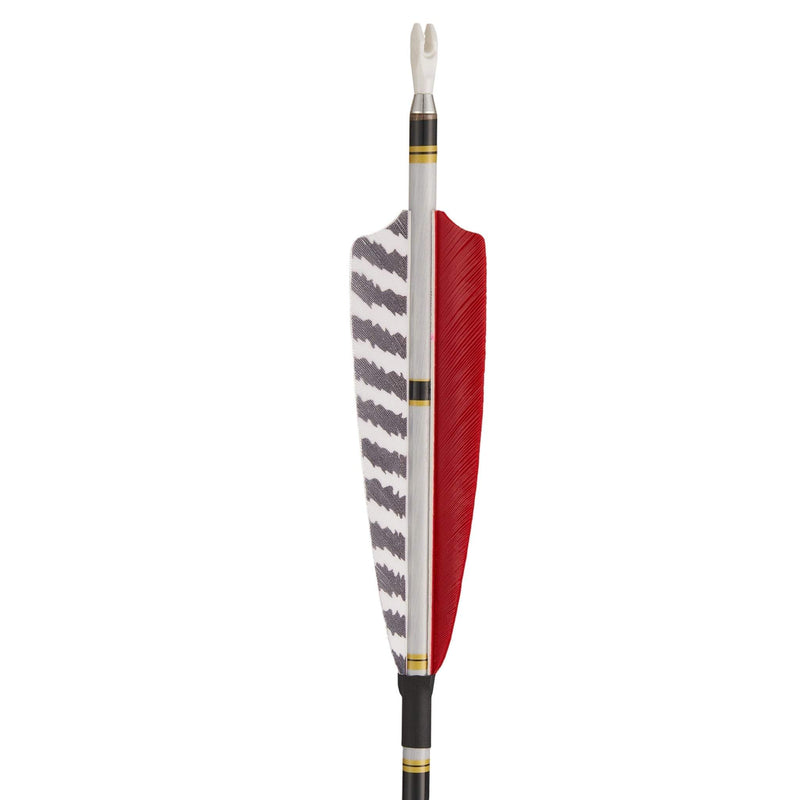 12pcs 31" Archery Pure Carbon Arrows Turkey Feather Fletched Spine 300-600
