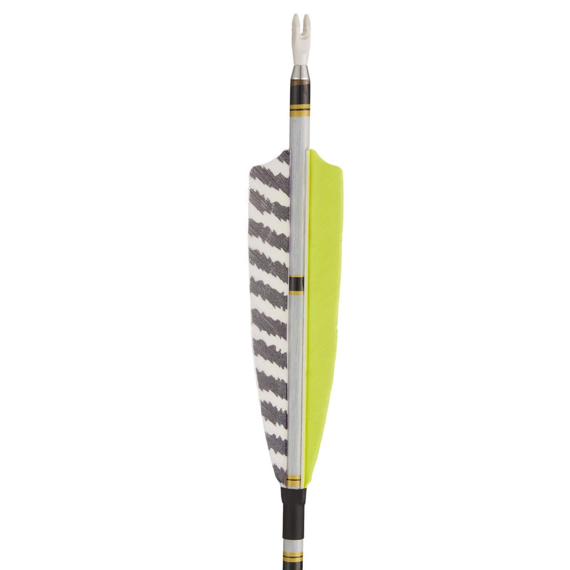 12pcs 31" Archery Pure Carbon Arrows Turkey Feather Fletched Spine 300-600