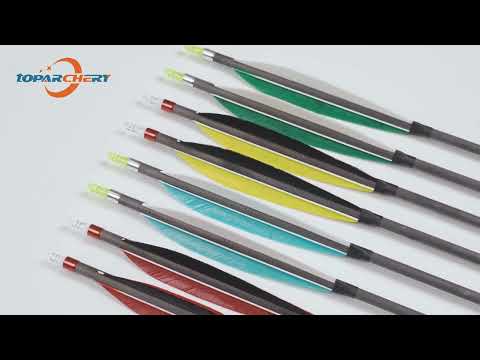 6pcs Archery 30" Carbon Arrow Spine 350 with 6inch Turkey Feather For Recurve Bow Outdoor Shooting Practice Hunting Arrow