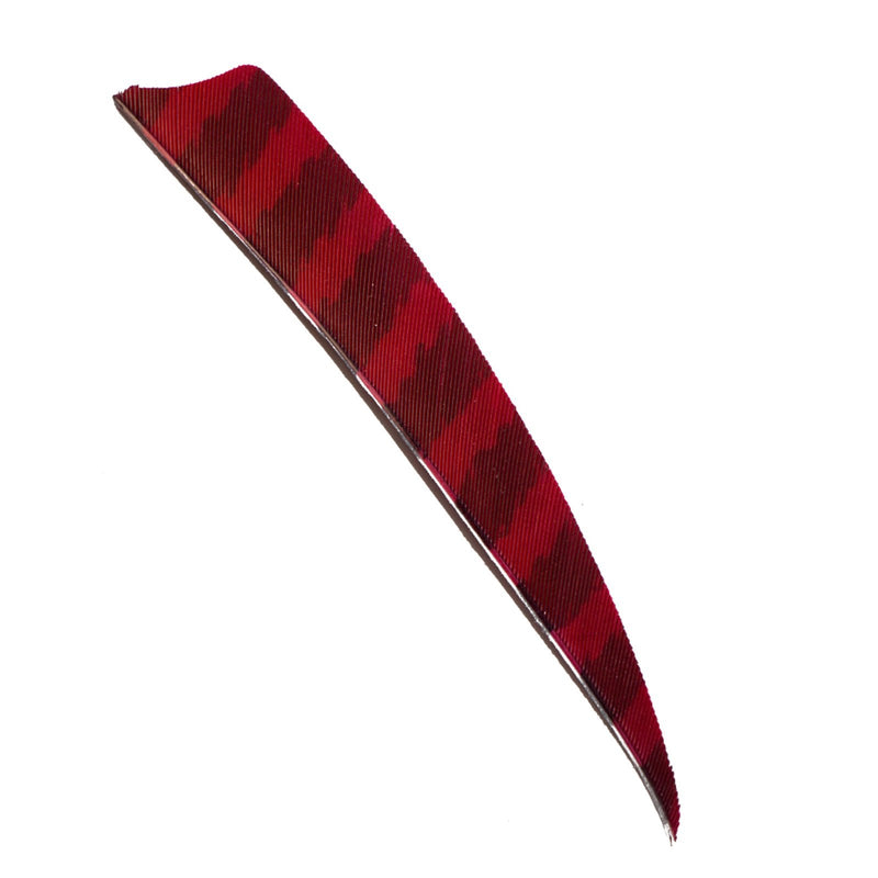 50Pcs Archery Turkey Feather Fletching 4 Inch Right Wing for Hunting Arrow Accessories