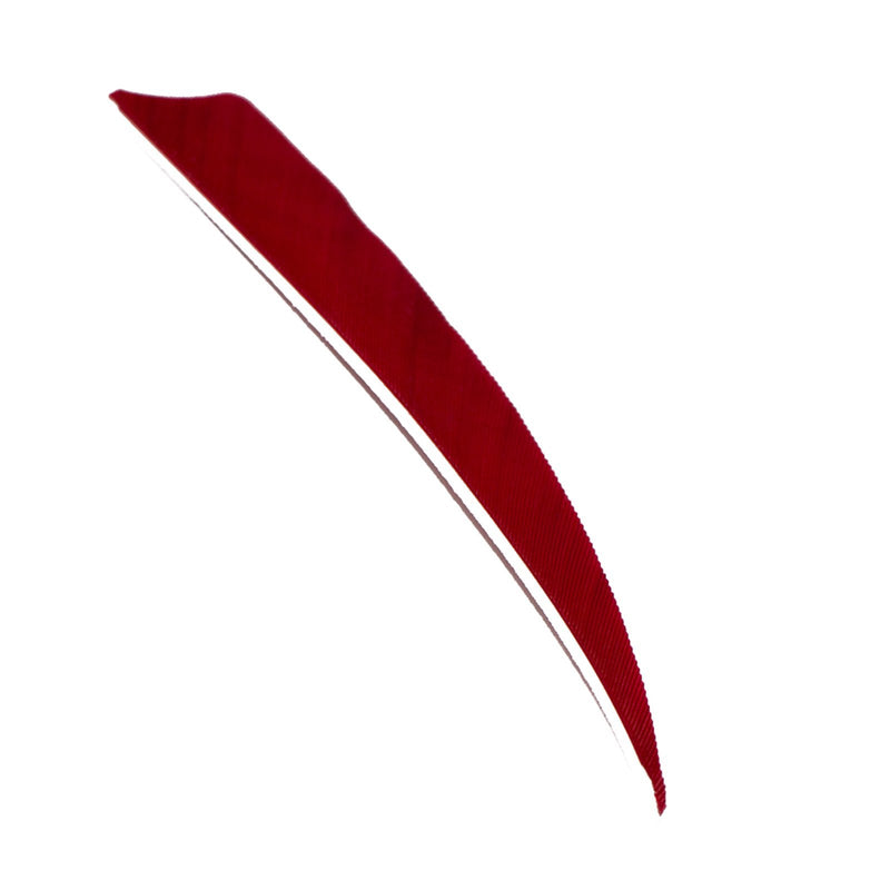 50Pcs Archery 4/5 Inch Turkey Feather Fletching Right Wing Red