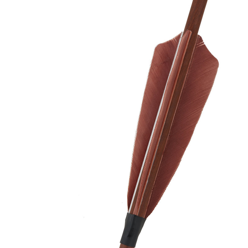 6Pcs 31.4" Pure Carbon Arrows Turkey Feather Archery Spine 400 with Replaceable Arrowheads