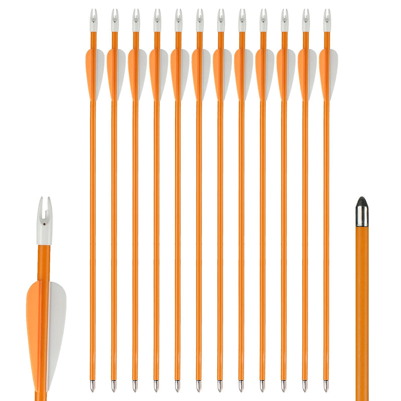 12 Pack 27" Kids Fiberglass Arrows Youth Game Archery Arrows