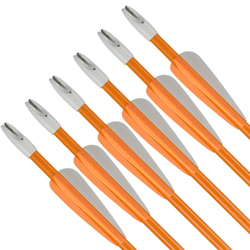 12 Pack 27" Kids Fiberglass Arrows Youth Game Archery Arrows