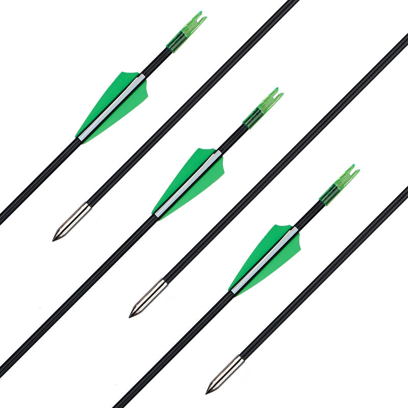 12pcs Archery Fiberglass Arrows Spine 1000 for Compound Bow Diameter 6mm with Fixed Tips
