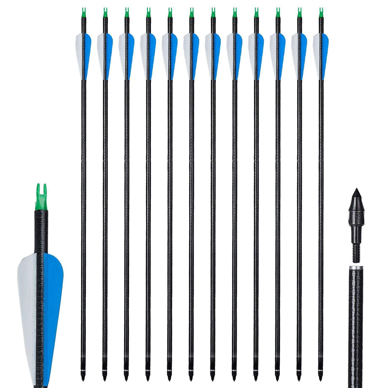 12pcs 32" Archery Fiberglass Arrows for Recurve Compound Bow Target Practice Arrows with Replaceable Tips
