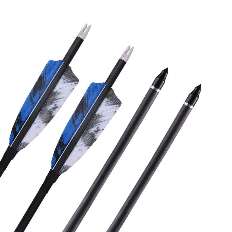 6pcs Archery 31" Turkey Feather Carbon Arrows Hunting Arrows Spine 400 with Replaceable Arrow Tips