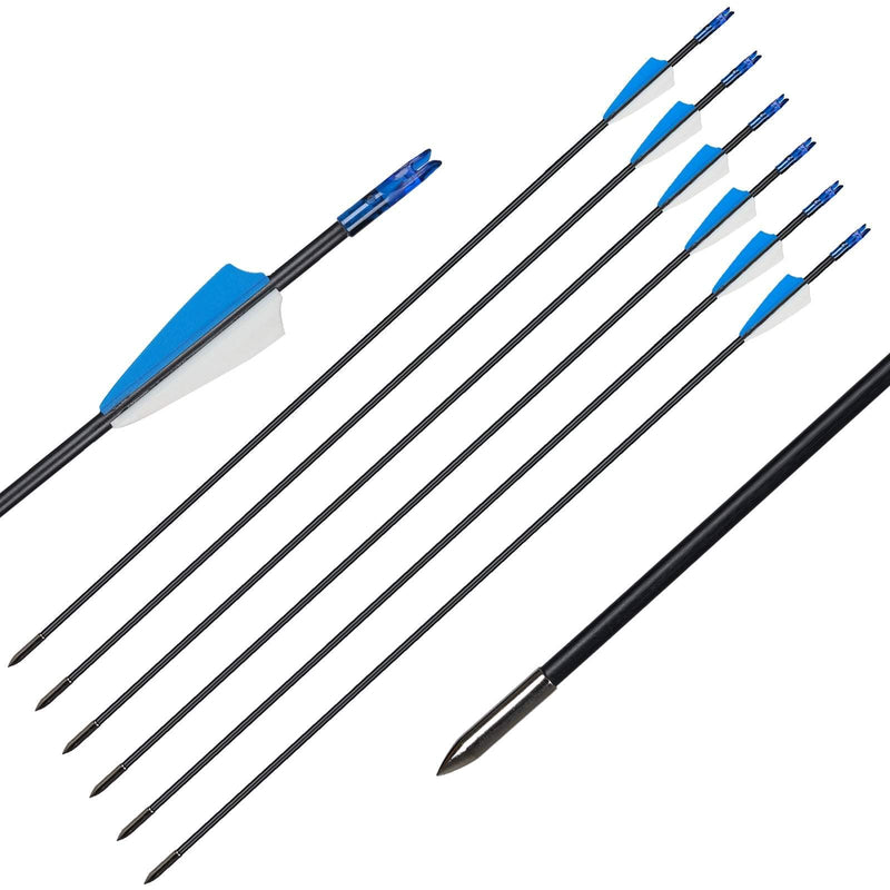 12pcs Archery 31.5" Fiberglass Arrows Spine 800 Beginner Shooting Target Practice Arrows