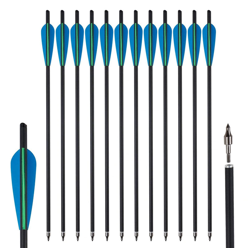20 Inch Carbon Crossbow Bolts - 12 Pack Hunting Arrows With 4 Vanes & Replaceable Tips For Target Practice & Hunting